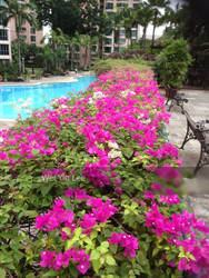 Yew Mei Green (D23), Condominium #203804631